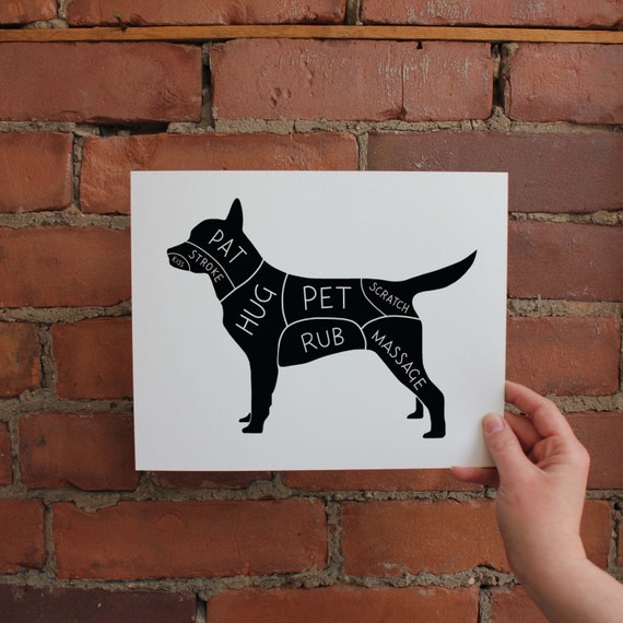 Why Do Dogs Scratch At Walls