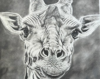 Giraffe Original Portrait