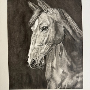 Original charcoal drawing of horse