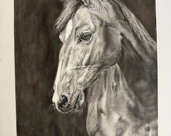 Disegno originale a carboncino di un cavallo