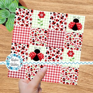 May include: A patchwork design featuring red and white gingham, ladybug and floral patterns. The design includes the text "LOVE BUG" and a logo that says "Kristen in Stitches". The overall theme is a cute, whimsical design.