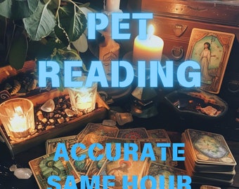 Clairvoyant Pet Readings: Insights on Health, Behavior, Emotions, and Life Path | 30+ Years Experience | Same Day & 24-Hour Options