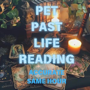 Lectura de tarot de vidas pasadas de mascotas: descubra los secretos del alma, las conexiones pasadas y el propósito de su mascota en este viaje espiritual único.