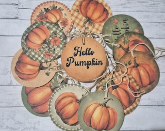 12 Assorted Fall Seasonal Halloween Round Tags; Hello Pumpkin ~ 2.25 Inch Diameter