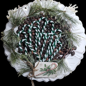 May include: A white, scalloped-edge plate filled with dark berries, green and white striped candy canes, and pine branches. A small tag with a candy cane illustration and holly is tied to the plate with twine. A festive holiday arrangement.