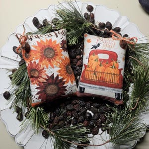 Primitive Fall Mini Pillows: Farmhouse Halloween Ornaments, Set of 2