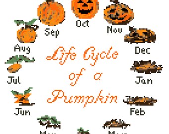 Life Cycle of a Pumpkin Cross Stitch Pattern