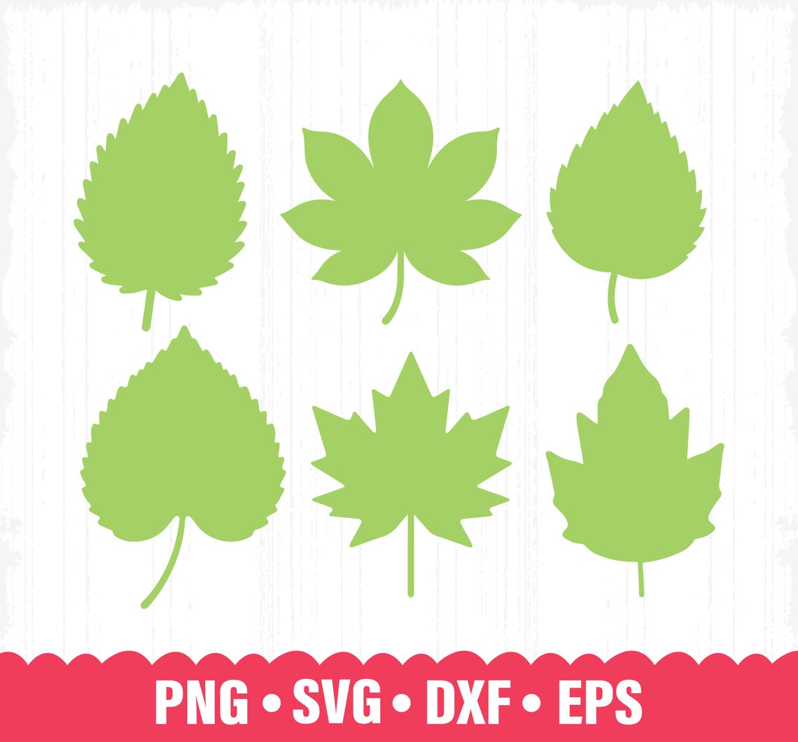 Leaf Svg Bundle, Leaves Svg, Leaves Cut Files, Branch Svg, Leaves ...