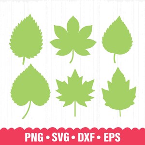 Paquete de hojas svg, hojas svg, archivos de corte de hojas, rama svg, hojas clipart, hoja svg, archivo de corte de hoja, imágenes prediseñadas de hoja, hojas tropicales, hoja png