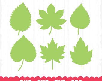 Paquete de hojas SVG, hojas SVG, archivos de corte de hojas, rama SVG, imágenes prediseñadas de hojas, hoja SVG, archivo de corte de hoja, imágenes prediseñadas de hojas, hojas tropicales, hoja PNG