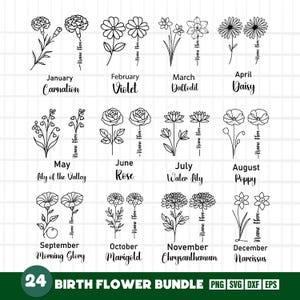 Paquete de flores de nacimiento, flor de nacimiento svg, mes de nacimiento svg, mes de nacimiento svg, flor de cumpleaños svg, flor de nacimiento png set, flor svg, flor de nacimiento