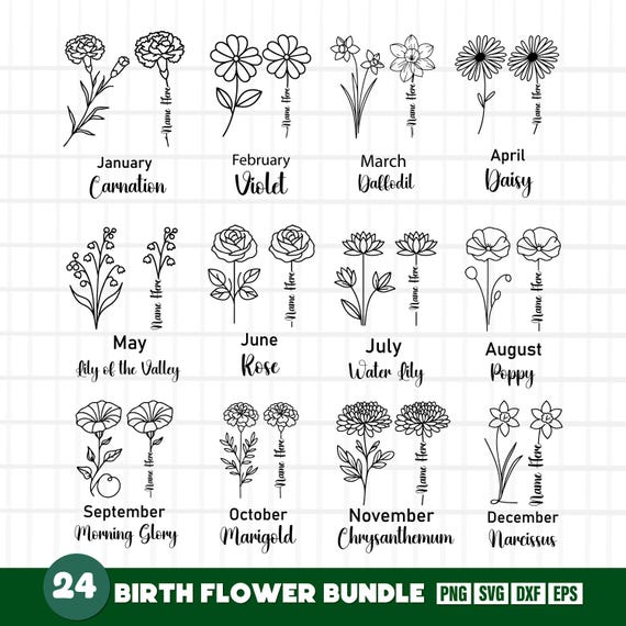 Birth Flowers Bundle, Birth Flower Svg, Birthmonth Svg, Birth Month Svg, Birthday Flower Svg, Birth Flower Png Set, Flower Svg, Birth Flower