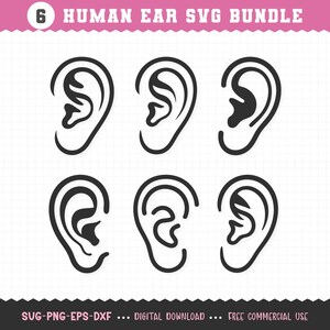 May include: A digital download graphic bundle featuring six black line art illustrations of human ears. The text "6 HUMAN EAR SVG BUNDLE" is at the top. The bottom text reads "SVG-PNG-EPS-DXF ... DIGITAL DOWNLOAD ... FREE COMMERCIAL USE."