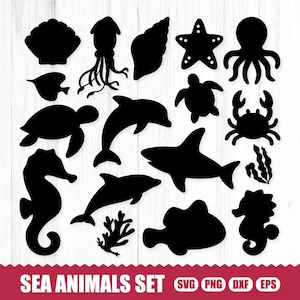 Meerestiere SVG, Ozean SVG, Leben im Meer SVG, Meerestiere SVG, Meerestiere SVG, Meerestiere SVG, Meerestiere SVG,