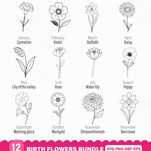 Birth Flowers Bundle, Birth Flower Svg, Birthmonth Svg, Birth Month Svg, Birthday Flower Svg, Birth Flower Png Set, Flower Svg, Birth Flower