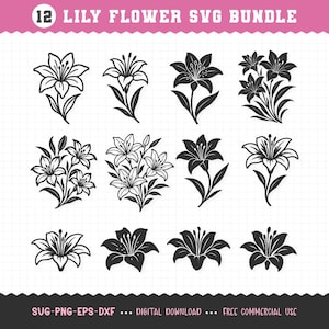 Könnte beinhalten: Eine Sammlung von 12 Lilienblumen-SVG-Designs in Schwarz und Weiß. Jedes Design zeigt eine detaillierte Illustration einer Lilienblume, mit Variationen in Stil und Anordnung. Der Text "12 LILY FLOWER SVG BUNDLE" steht oben.