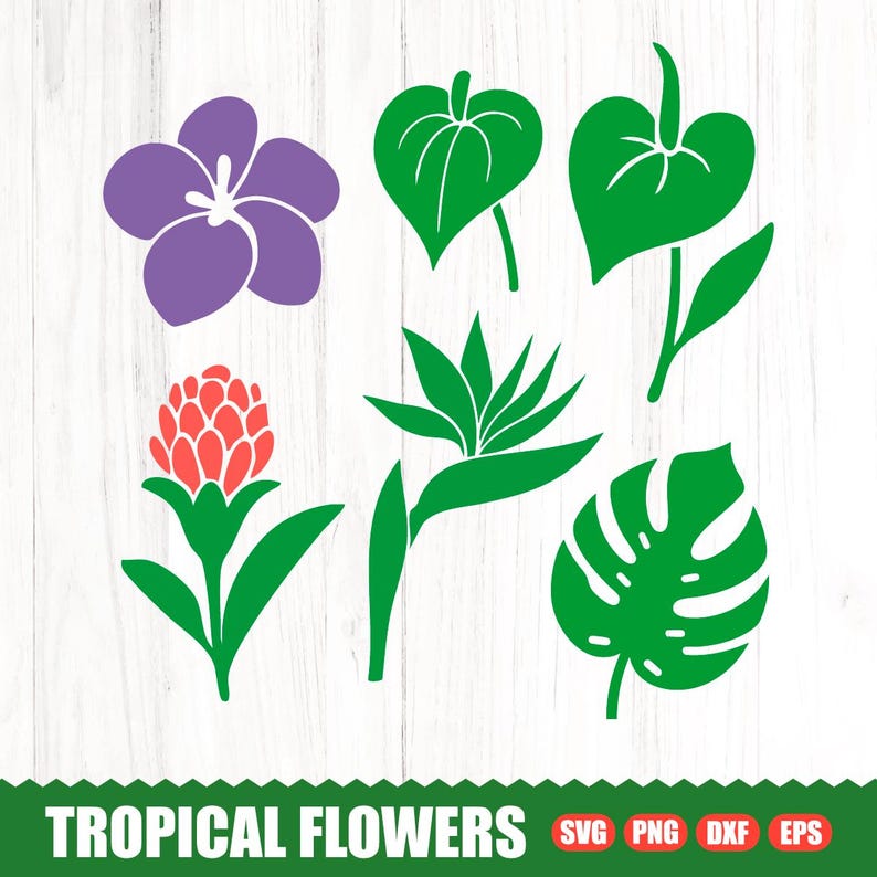 Tropical Flower & Leaf SVG Bundle, Hawaiian Clipart (digital Download ...