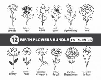 Birth Flowers Bundle, Birth Flower Svg, Birthmonth Svg, Birth Month Svg, Birthday Flower Svg, Birth Flower Png Set, Flower Svg, Birth Flower