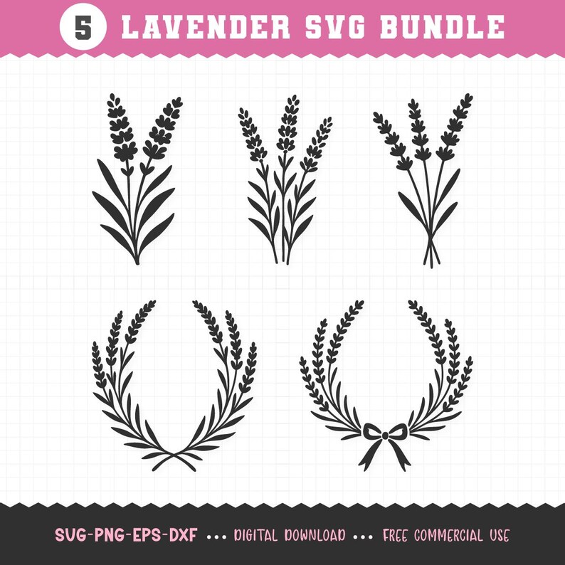Lavender SVG, Lavender Flower SVG, Lavender PNG, Lavender Cut File for ...