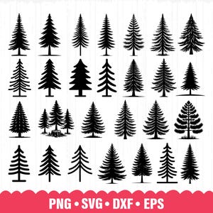 Pino Svg, Pino Png, Pino File di taglio, Pino Clipart, Pino Cricut, Pini Svg, Albero sempreverde Svg, Linea degli alberi Svg