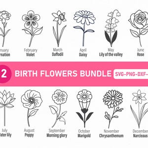 Bundle de fleurs de naissance, Svg fleur de naissance, mois de naissance, Svg mois de naissance, Svg fleur anniversaire, ensemble PNG fleur de naissance, Svg fleur, fleur de naissance