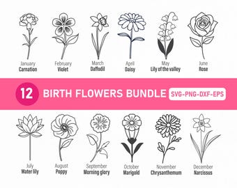 Birth Flowers Bundle, Birth Flower Svg, Birthmonth Svg, Birth Month Svg, Birthday Flower Svg, Birth Flower Png Set, Flower Svg, Birth Flower