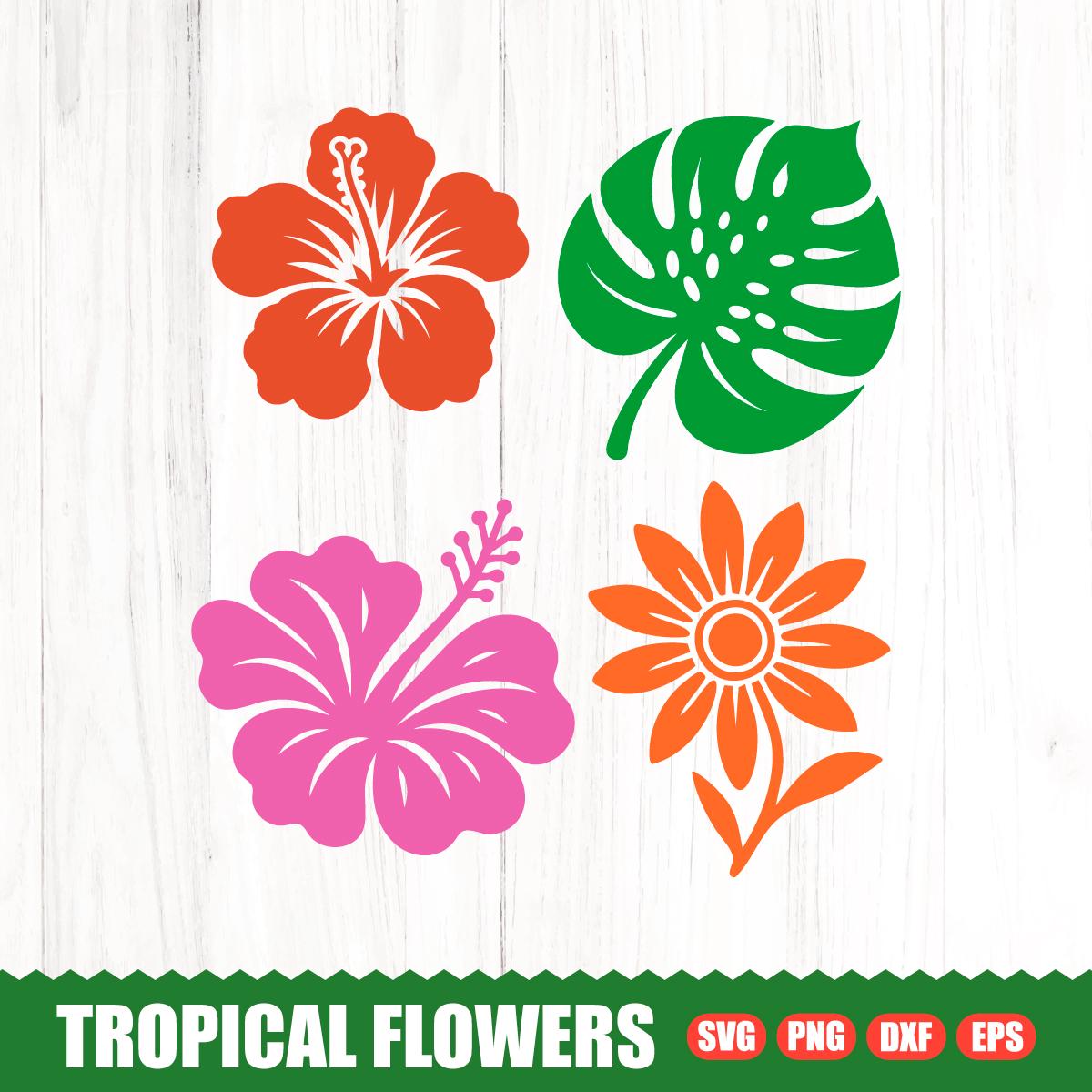 Tropical Flower & Leaf SVG Bundle, Hawaiian Clipart (digital Download ...