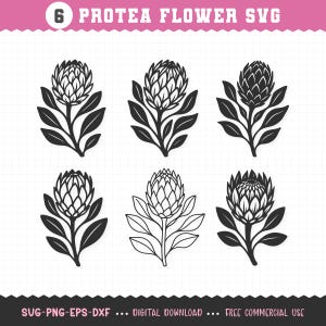 May include: A collection of six protea flower SVG designs in black and white. Each design features a detailed protea flower with leaves and stems. The text "6 PROTEA FLOWER SVG" is at the top, and "SVG-PNG-EPS-DXF ... DIGITAL DOWNLOAD ... FREE COMMERCIAL USE" is at the bottom.