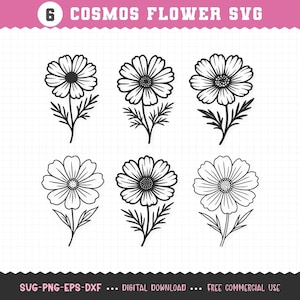 May include: Six black and white cosmos flower SVG designs. Each flower has detailed petals, a central seed head, and a stem with leaves. The top banner reads "6 COSMOS FLOWER SVG". The bottom banner reads "SVG-PNG-EPS-DXF ... DIGITAL DOWNLOAD ... FREE COMMERCIAL USE".