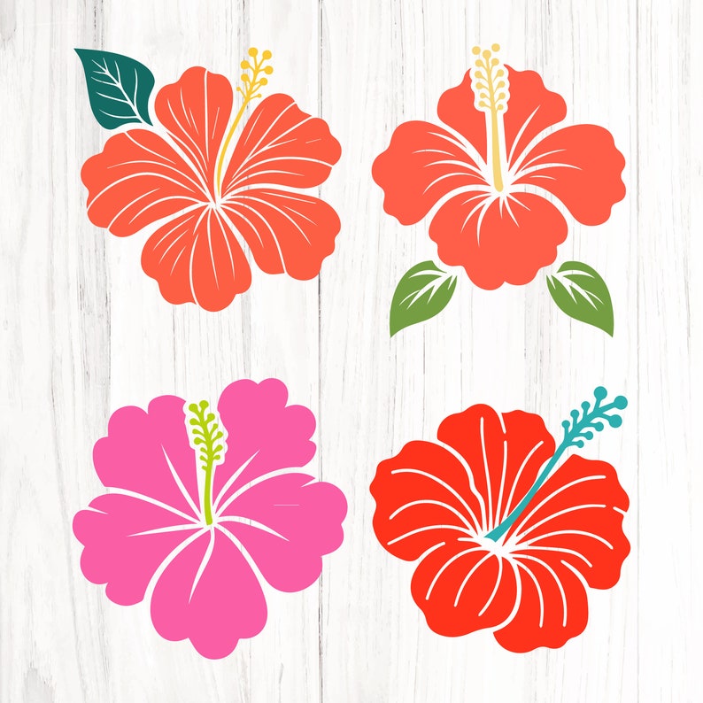 Hibiscus Flower SVG Bundle, Hawaiian Floral Clipart (digital Download ...