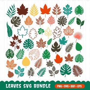 Paquete SVG de hojas, Paquete SVG de hojas, Hojas SVG, Hojas tropicales SVG, Archivos de corte de hojas, Hojas dibujadas a mano, Hojas de otoño SVG, Archivos de corte de hojas