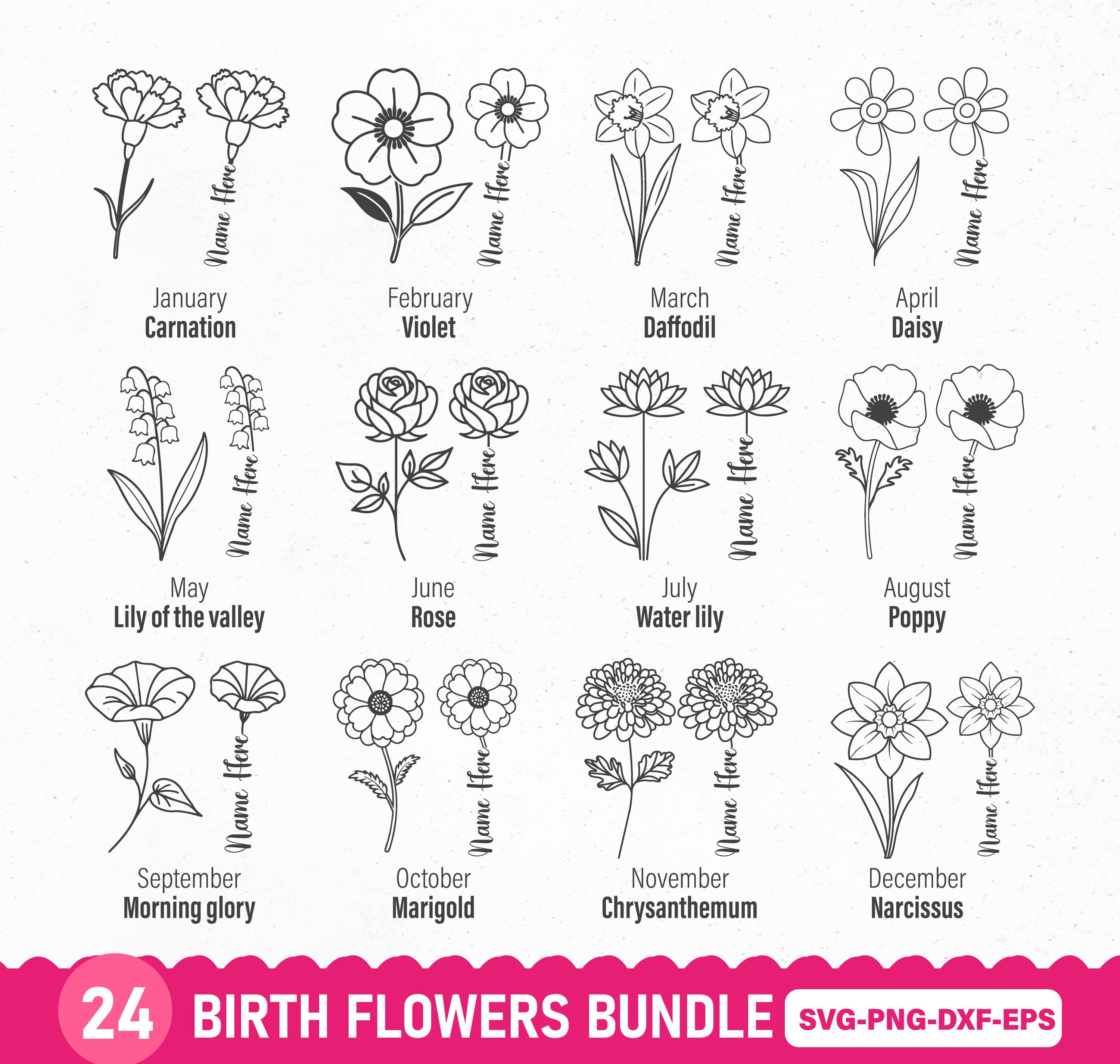 誕生花バンドル、誕生花 SVG、誕生月 SVG、誕生月 SVG、誕生日花 SVG、誕生花 PNG セット、花 SVG、誕生花