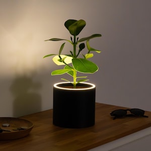 May include: A contemporary black plant pot with a luminous white ring, containing a green plant. The pot is on a wooden surface, with a wooden bowl and sunglasses. The scene is lit by a soft light, creating a modern aesthetic.