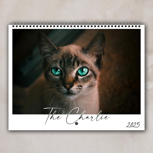 Cat Calendar Etsy