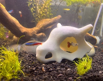 Cubone Pokémon Skull for aquariums - fish hideaway- Freshwater and Saltwater safe!