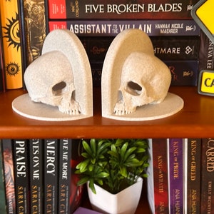 May include: A pair of white skull bookends with a textured finish. The bookends are shaped like a skull with a raised, curved top. The bookends are on a wooden shelf with books behind them.