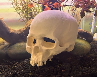 Aquarium decorative Hideaway 3D Printed Skull - Freshwater and Saltwater safe!