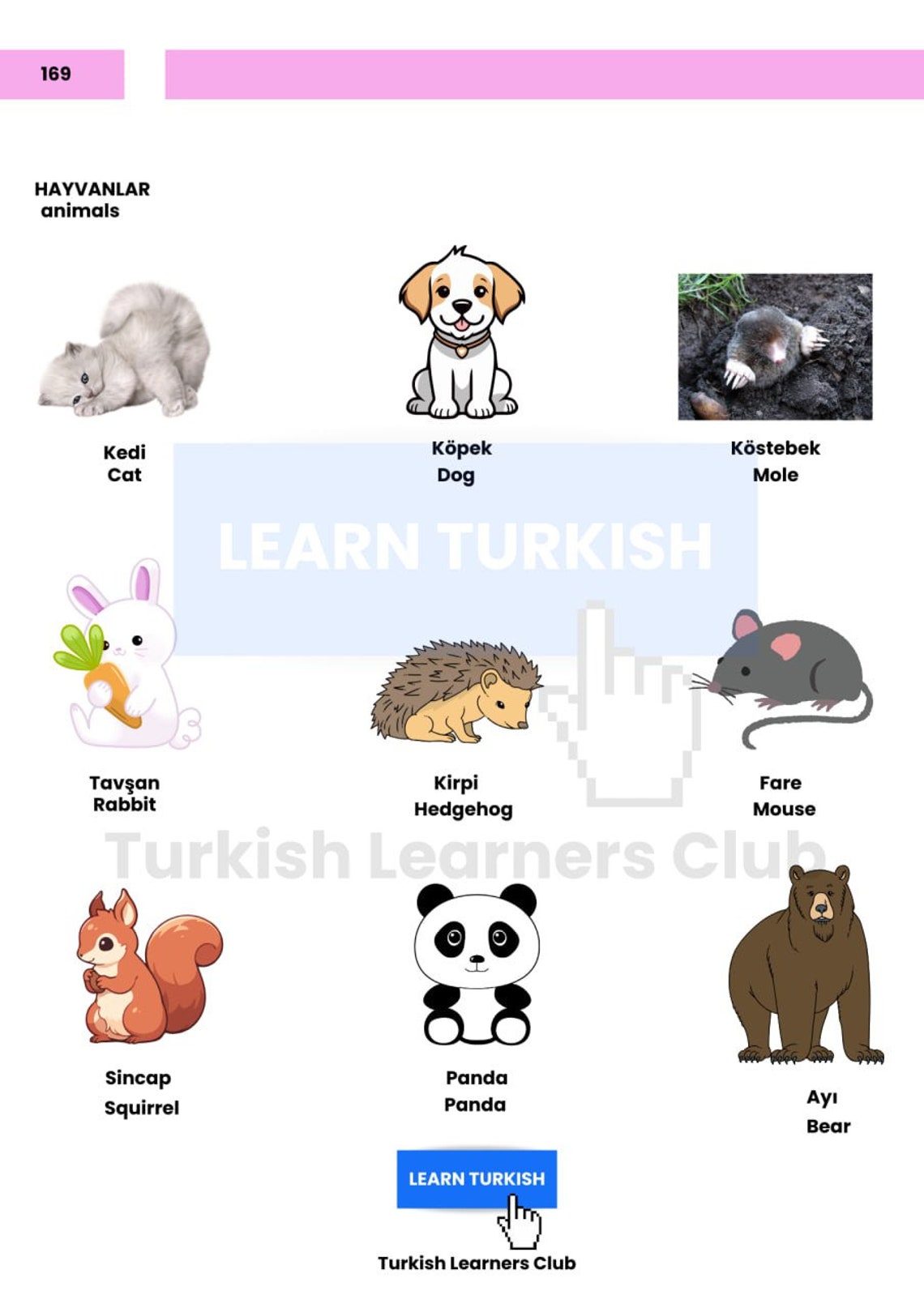 Learn Turkish With Pictures | 1200+ Vocabulary Words for Beginners ...