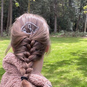 May include: A silver-colored hair clip in the shape of a bear is placed in a braid. The braid is brown and secured with a black hair tie. The background features a green grassy area and trees.