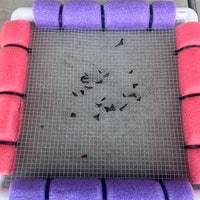 Small One Handled Floating Sifter W/ Your Choice of Industry Standard 1 ...