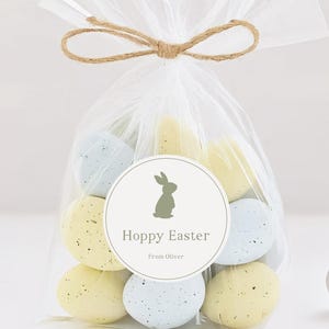 Hoppy Easter Stickers, Personalized Easter Bunny Stickers, Easter Party Favors, Easter Gift Labels, Easter Treat Bag, Egg Hunt Favor Labels