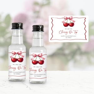 Cherry Galentines Mini Liquor Bottle Labels, We Are The Cherry On Top, Galentines Gift Stickers, Galentines Party Favors, Galentines Favors