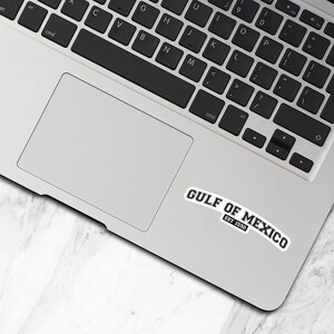 Gulf Of Mexico Sticker, EST 1550, Vinyl Travel Stickers, Laptop Water Bottle Stickers, Democrat Sticker, Democrat Gifts - WS563 image 4