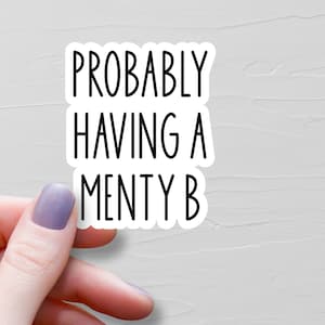 Probably Having A Menty B Sticker, Vinyl Stickers, Anxiety Water Bottle Stickers, Laptop Stickers, Funny Mental Health Stickers - WS322