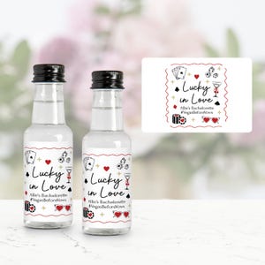 Lucky In Love Mini Liquor Bottle Labels, Vegas Bachelorette Party Favors, Vegas Before Vows, Las Vegas Bach Weekend, Casino Bachelorette