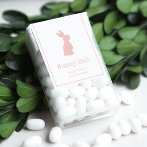Easter Bunny Bait Mint Labels, Happy Easter Gifts for Friends, Easter Class Treats, Easter Party Favors Labels, Easter Basket Stuffers