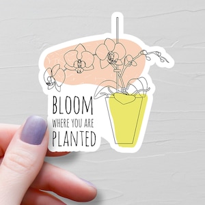 Sticker Fleur là où vous êtes, Sticker bouteille d'eau en vinyle, Dessin au trait esthétique, Stickers plantes, Stickers ordinateur portable, Cadeau pour amoureux des plantes, S158