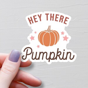 Hey There Pumpkin Sticker, Vinyl Stickers, Cozy Fall Stickers, Autumn Stickers, Pumpkin Lover Gift, Water Bottle Stickers - S494