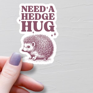 Adesivo de ouriço sarcástico, adesivos de vinil, preciso de um abraço de ouriço, adesivos de garrafa d'água, adesivos para laptop, adesivos de meme, adesivos engraçados - S556