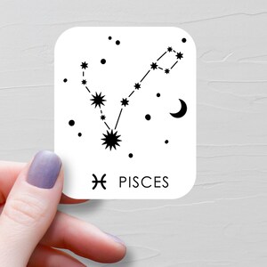 Pisces Sticker, Vinyl Stickers, Zodiac Stickers, Pisces Gifts, Astrology stickers, Water Bottle Stickers, Horoscope Stickers - S209-221